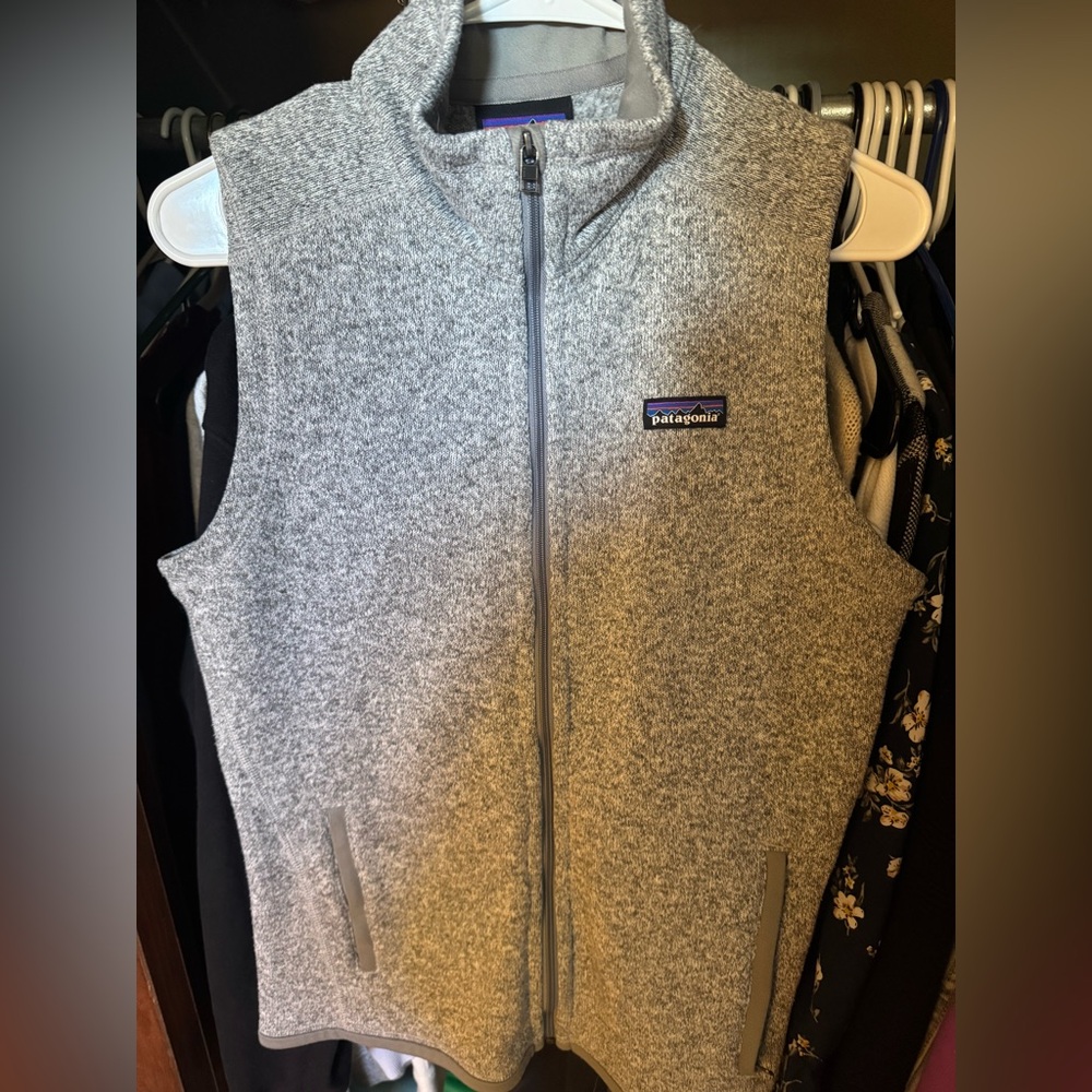 Patagonia Charcoal Fleece Vest